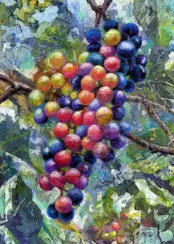 JMINE Div 5D красочное Виноградное дерево с полной алмазной росписью наборы для вышивки крестом Высококачественная Растительная 3D краска с бриллиантами