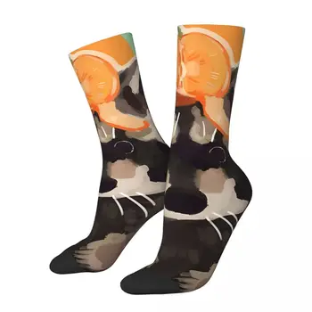 Забавные мужские носки Garbage Buddy серого цвета в уличном стиле с енотом в стиле ретро, повседневные носки для экипажа, подарочный рисунок